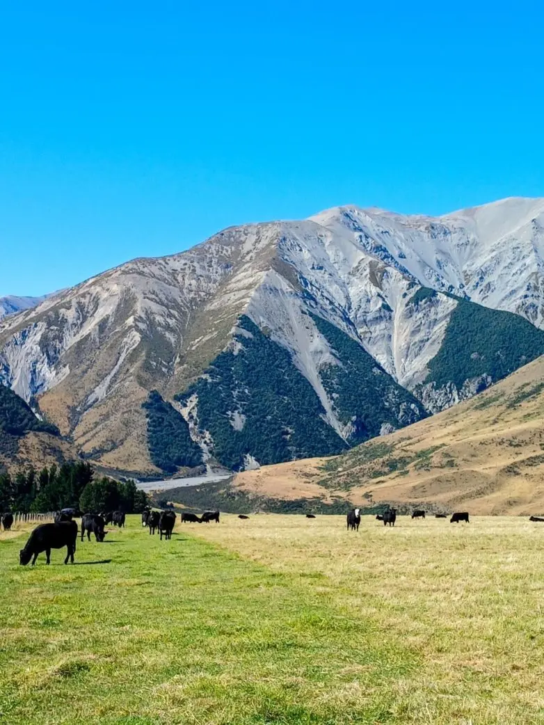 Невероятные кадры природы, в реальность которых сложно поверить