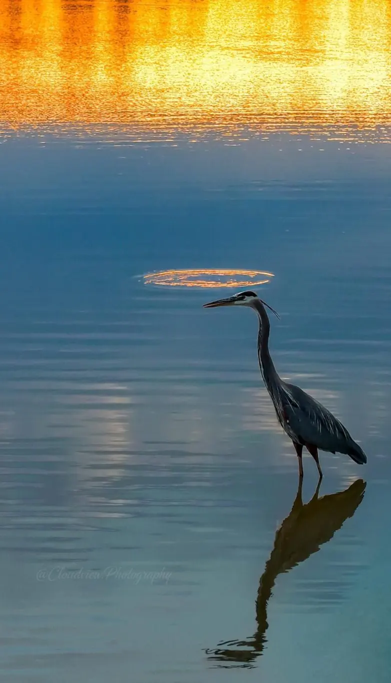 Невероятные кадры природы, в реальность которых сложно поверить