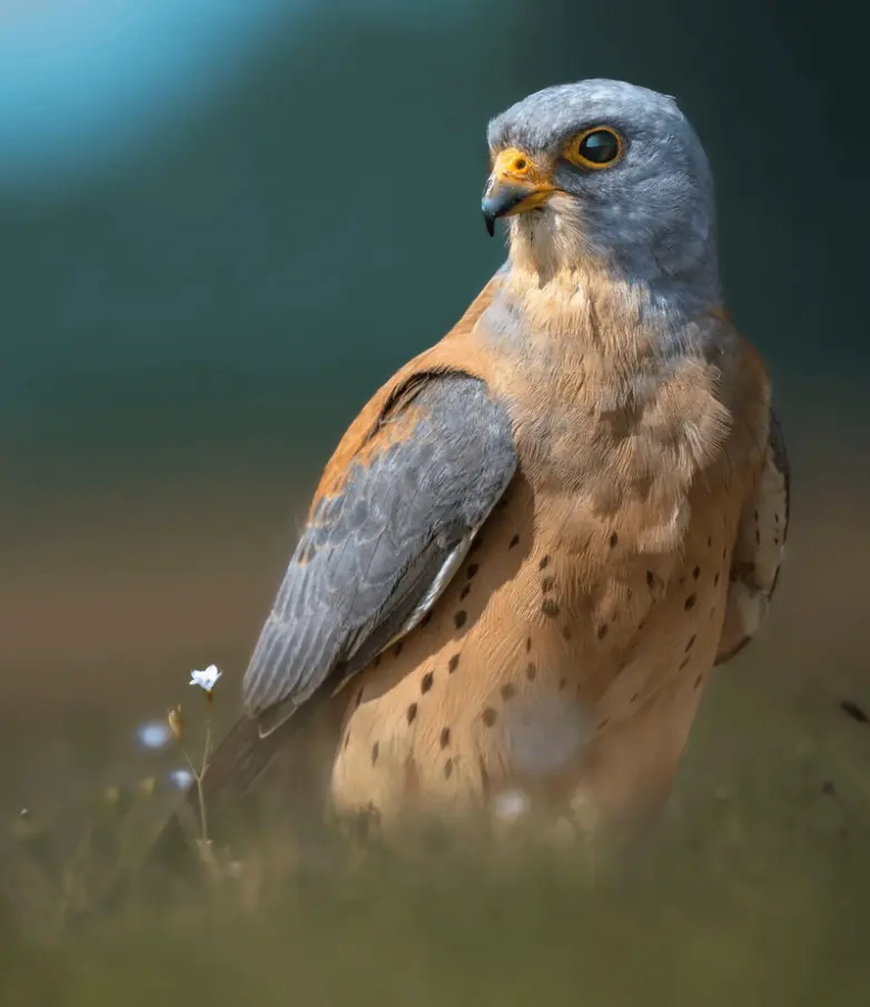 Невероятные кадры природы, в реальность которых сложно поверить