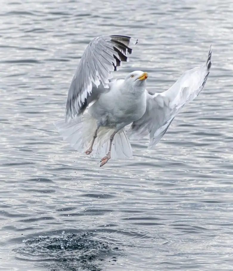 Невероятные кадры природы, в реальность которых сложно поверить