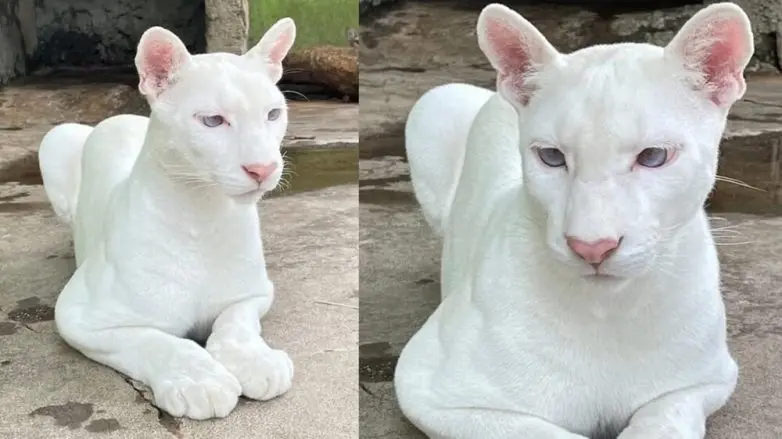 Невероятные кадры природы, в реальность которых сложно поверить