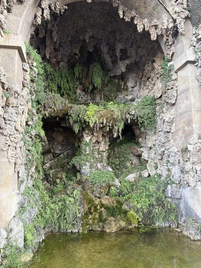 Невероятные кадры природы, в реальность которых сложно поверить