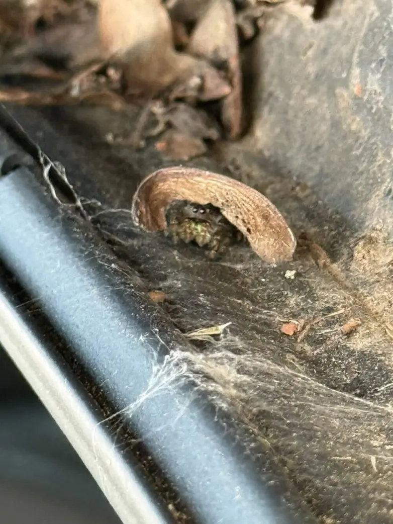 Невероятные кадры природы, в реальность которых сложно поверить