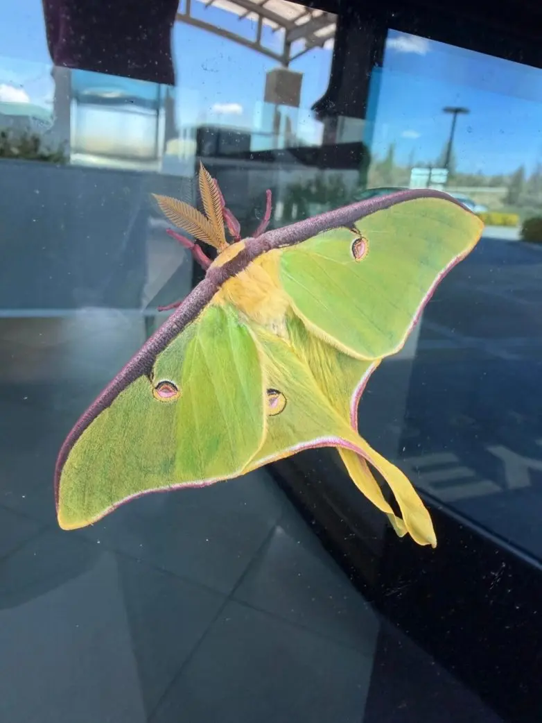 Невероятные кадры природы, в реальность которых сложно поверить