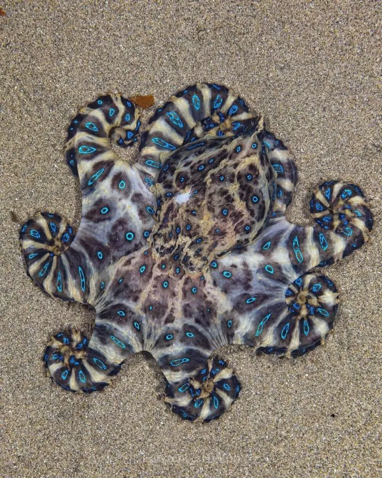 Невероятные кадры природы, в реальность которых сложно поверить