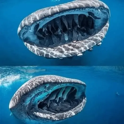 Невероятные кадры природы, в реальность которых сложно поверить