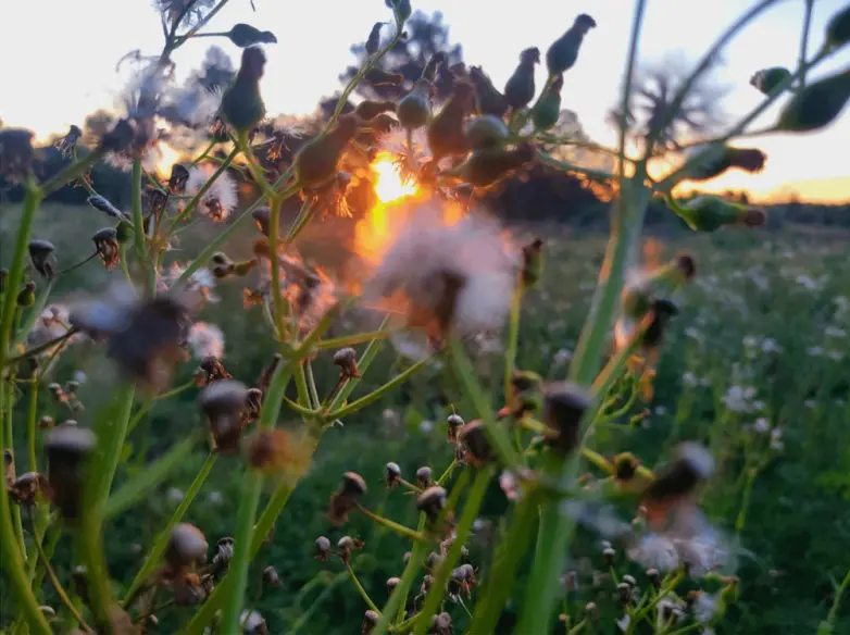 Невероятные кадры природы, в реальность которых сложно поверить