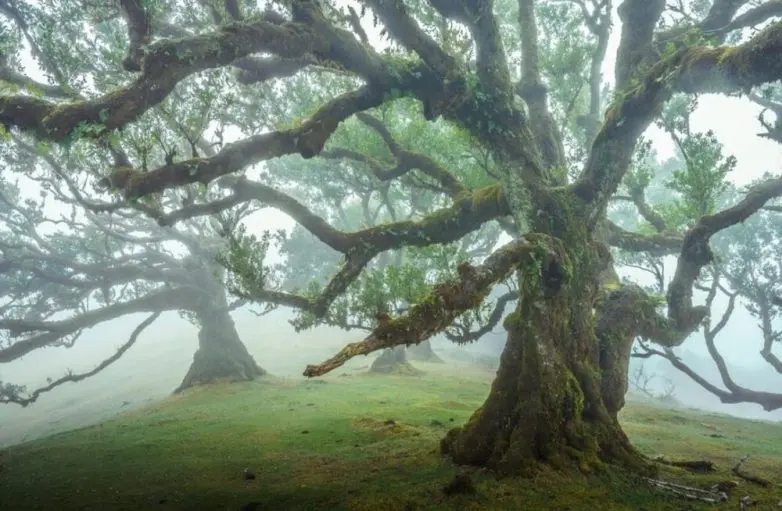Невероятные кадры природы, в реальность которых сложно поверить