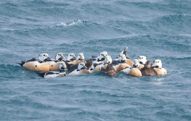 Невероятные кадры природы, в реальность которых сложно поверить