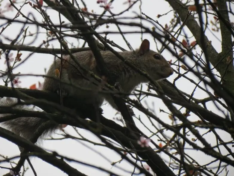 Невероятные кадры природы, в реальность которых сложно поверить