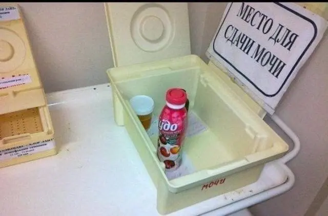 Смех сквозь хаос: подборка приколов и нелепых ситуаций