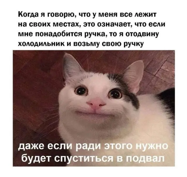 Смех сквозь хаос: подборка приколов и нелепых ситуаций