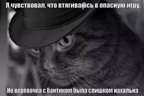 Смех сквозь хаос: подборка приколов и нелепых ситуаций