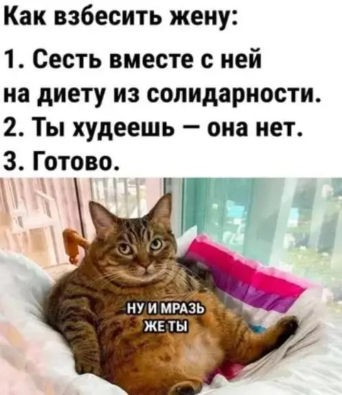 Смех сквозь хаос: подборка приколов и нелепых ситуаций