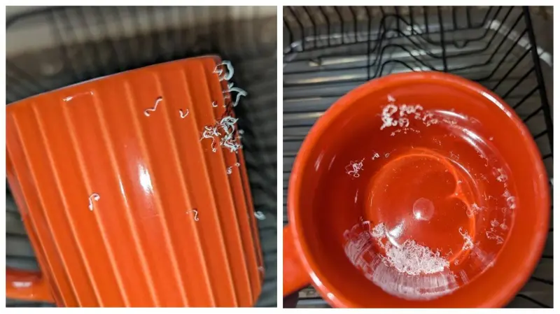 15 загадочных предметов, назначение которых раскрыл интернет