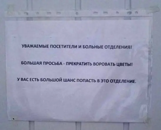 Коктейль из смешного и абсурдного