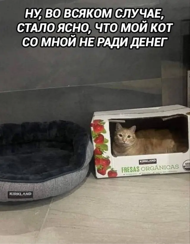 Коктейль из смешного и абсурдного