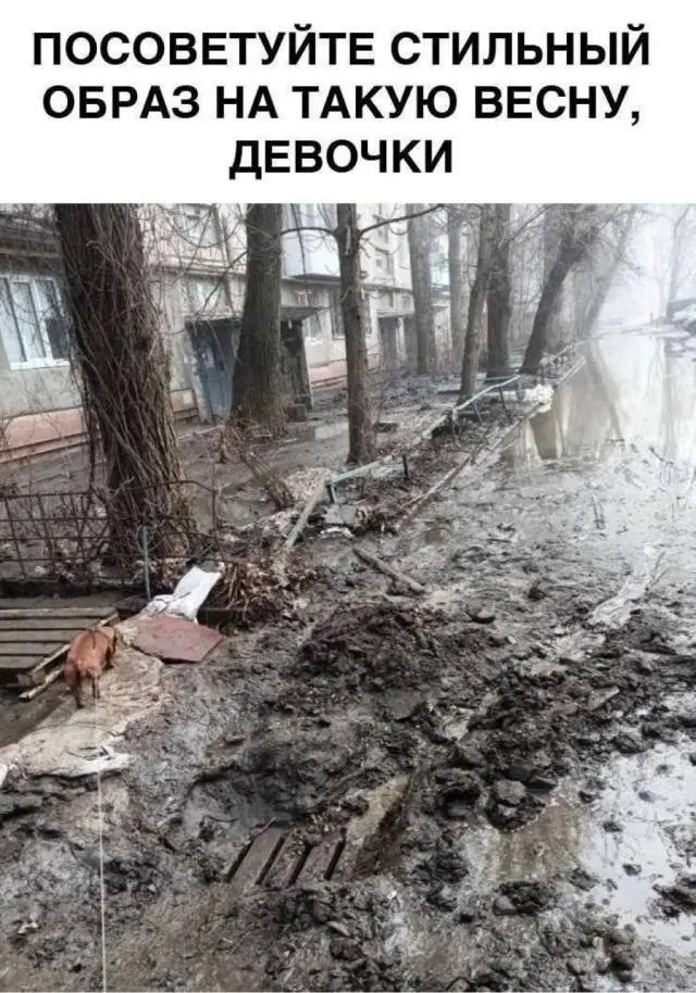 Коктейль из смешного и абсурдного