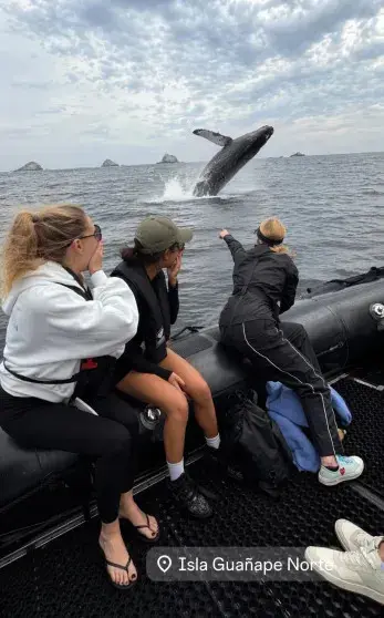 Звёздный десант: российские селебрити на бизнес-круизе по Латинской Америке