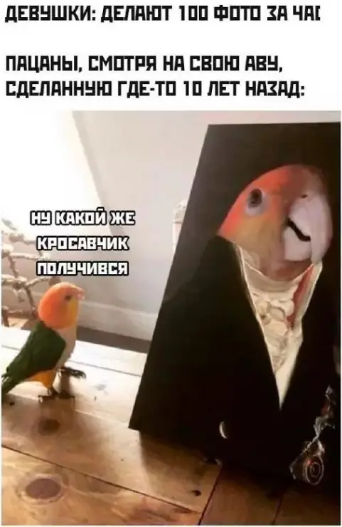 Понедельник станет легче: подборка отборного юмора для поднятия настроения