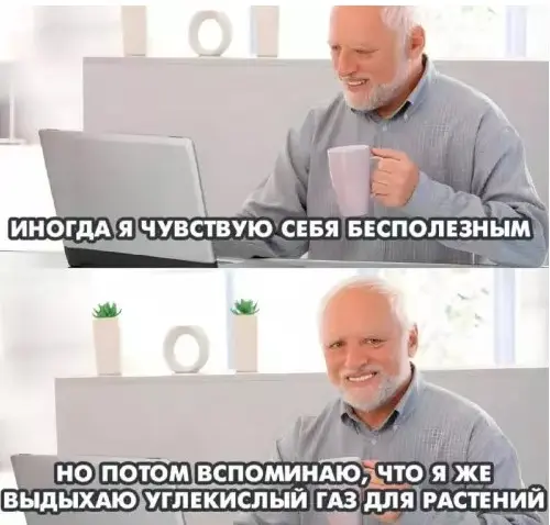 Понедельник станет легче: подборка отборного юмора для поднятия настроения