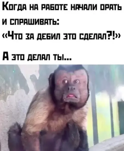 Понедельник станет легче: подборка отборного юмора для поднятия настроения