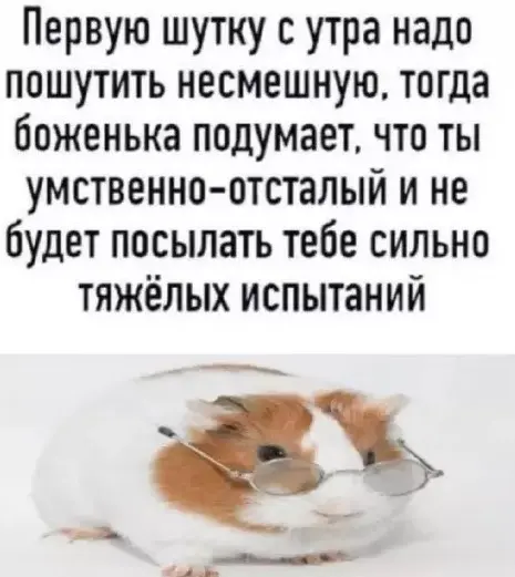 Понедельник станет легче: подборка отборного юмора для поднятия настроения