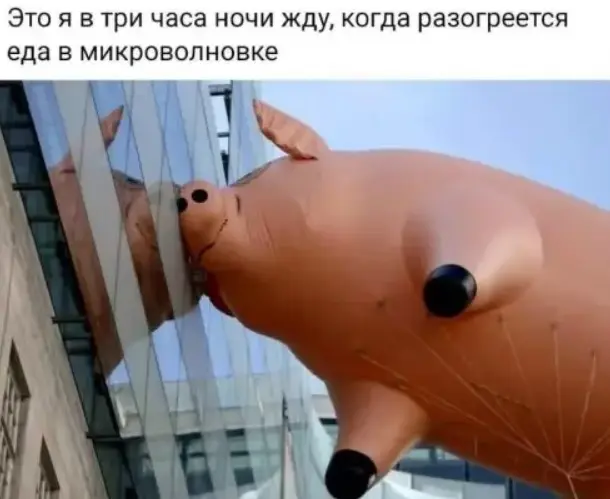 Понедельник станет легче: подборка отборного юмора для поднятия настроения