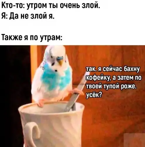 Понедельник станет легче: подборка отборного юмора для поднятия настроения