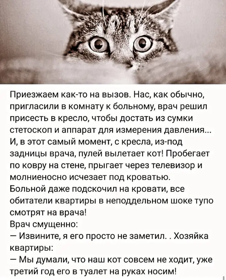 Понедельник станет легче: подборка отборного юмора для поднятия настроения