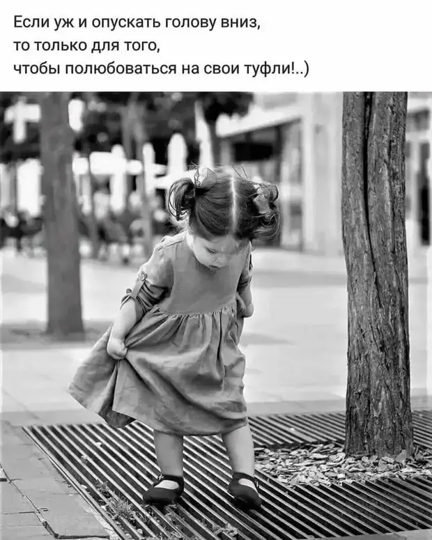 Смешные истории и забавные случаи из жизни