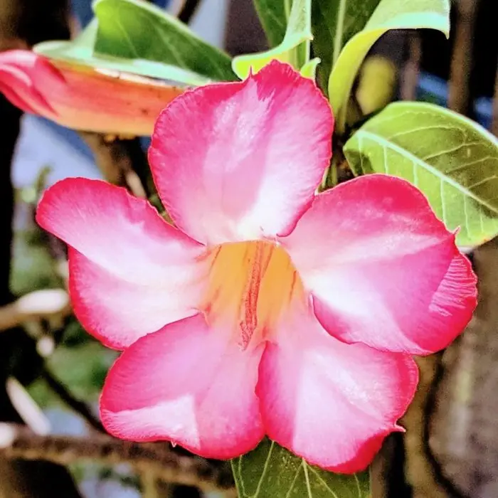 Снимки, которые заставляют усомниться в реальности