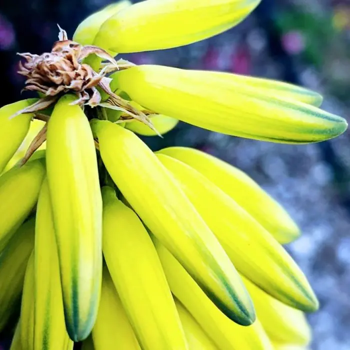 Снимки, которые заставляют усомниться в реальности