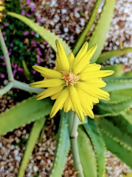 Снимки, которые заставляют усомниться в реальности