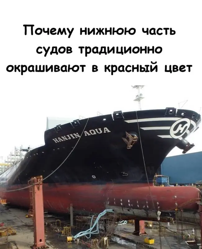 Загадка красного днища: почему корабли красят именно так