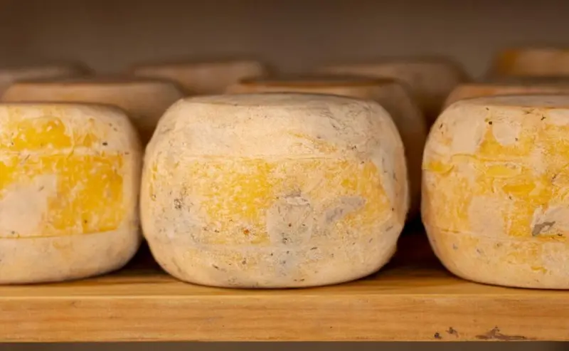 Мечта о доме рассыпалась, как сыр: парень потратил все накопления на гигантский чеддер