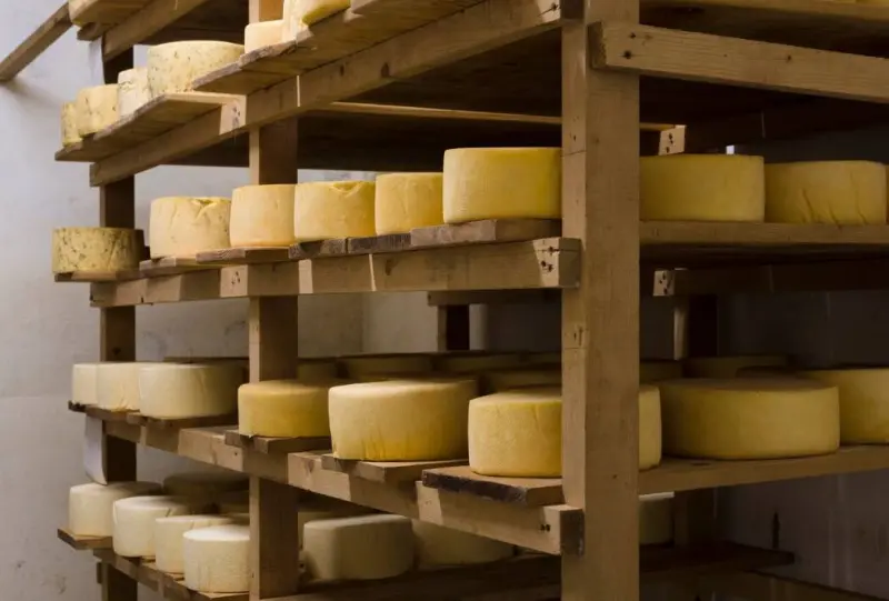 Мечта о доме рассыпалась, как сыр: парень потратил все накопления на гигантский чеддер