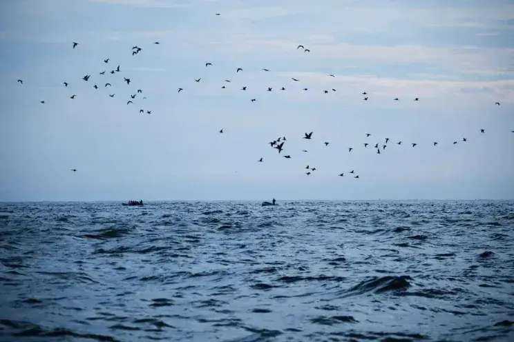 Звёздный круиз: как Собчак, Богомолов и Самойлова отдыхают в Латинской Америке