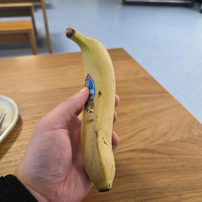 Мир вокруг нас шутит: 22 неожиданные находки в обычной жизни