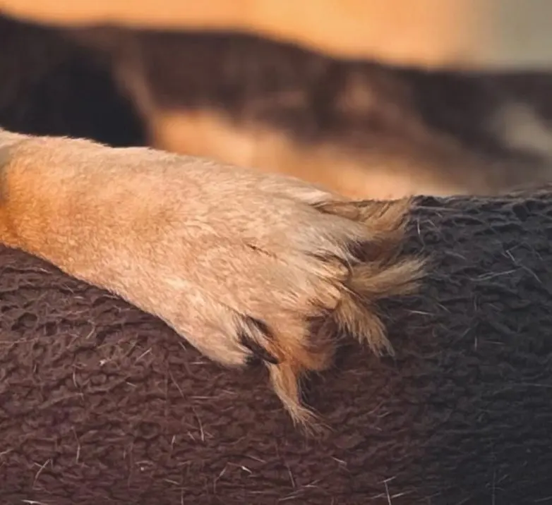 Мир вокруг нас шутит: 22 неожиданные находки в обычной жизни