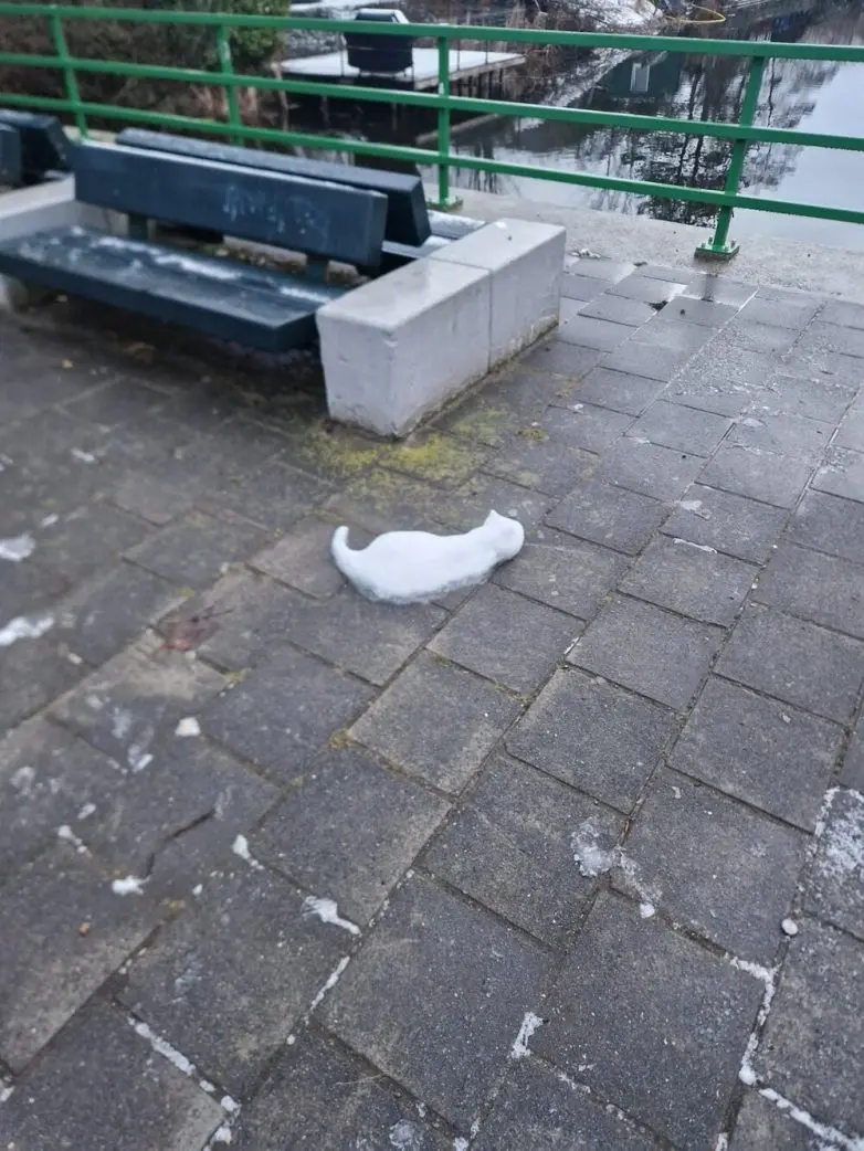 Мир вокруг нас шутит: 22 неожиданные находки в обычной жизни