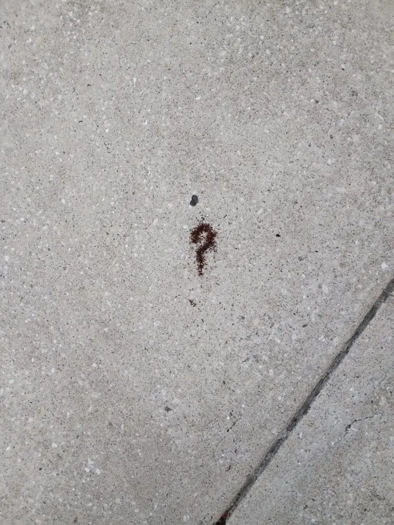 Мир вокруг нас шутит: 22 неожиданные находки в обычной жизни