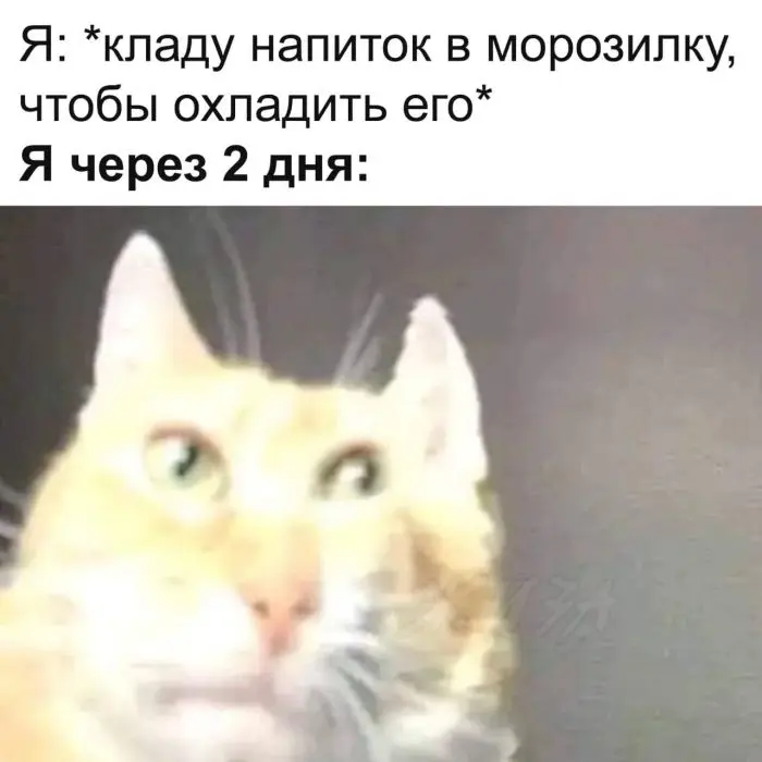 Интернет смеется: лучшая подборка свежих мемов и приколов