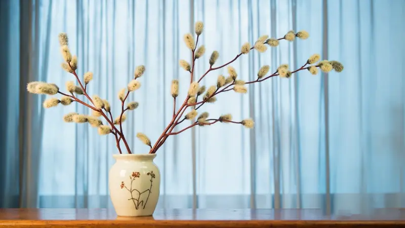 Куда деть прошлогоднюю вербу: 5 церковных способов утилизации