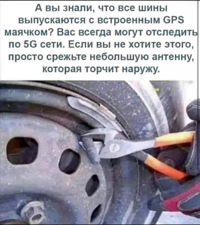 Свежая порция юмора: лучшие мемы и картинки для отличного настроения