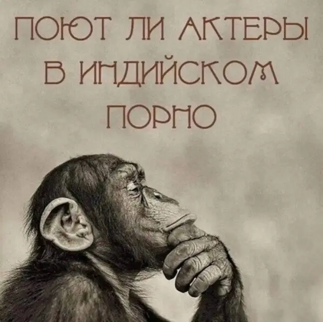 Свежая порция юмора: лучшие мемы и картинки для отличного настроения