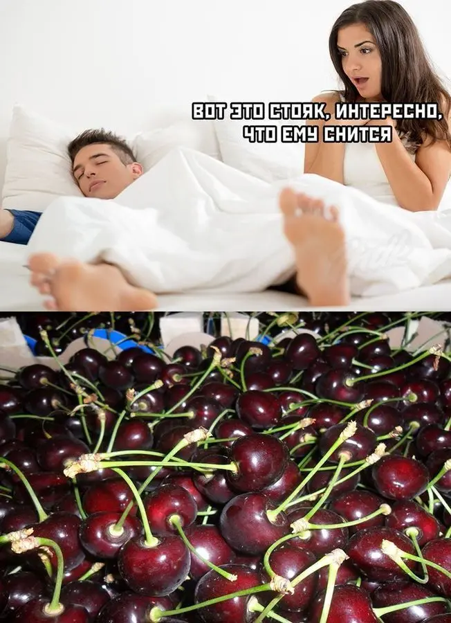 Свежая порция юмора: лучшие мемы и картинки для отличного настроения