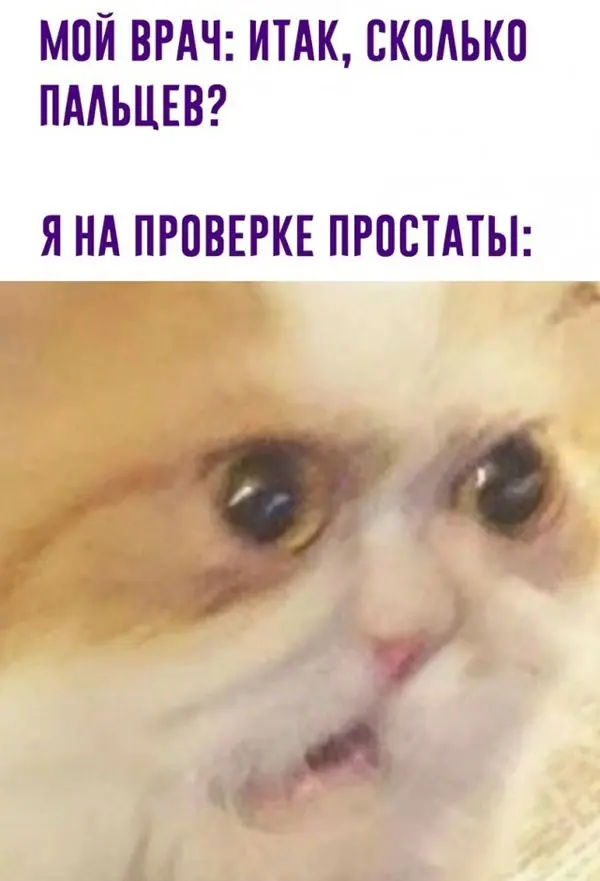 Взрыв смеха: лучшая подборка мемов для вашего дня