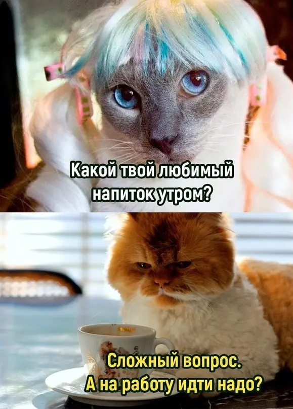 Взрыв смеха: лучшая подборка мемов для вашего дня