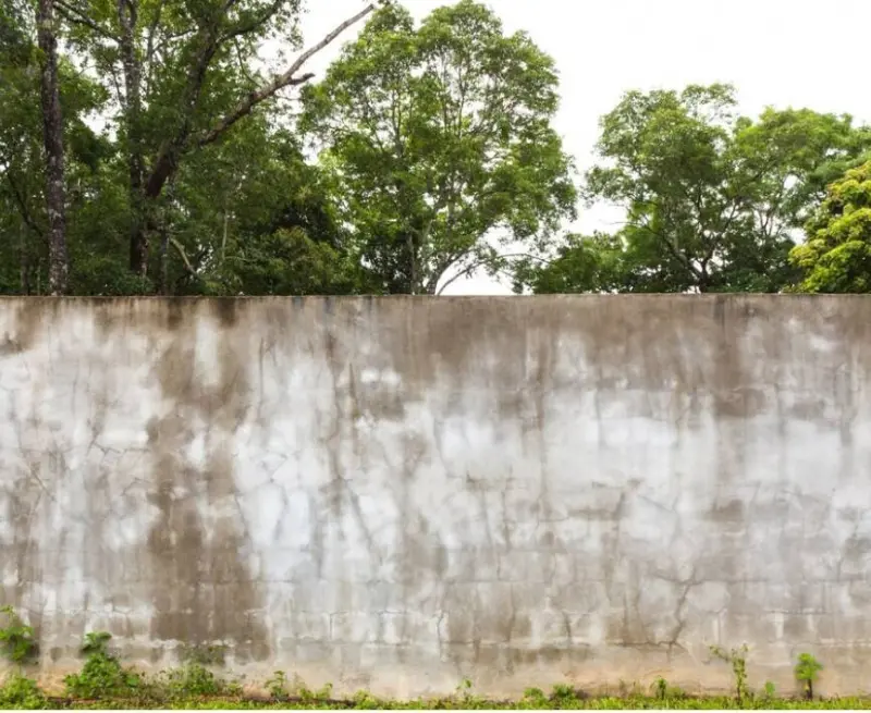 Сосед требовал убрать растения — хозяйка сада построила ему бетонную стену